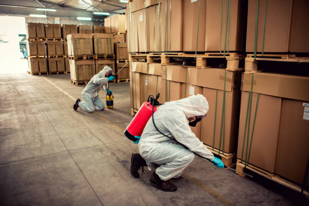 Best Residential Pest Control  in Saegertown, PA