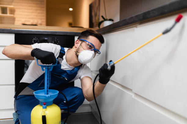 Best Mosquito Control Services  in Saegertown, PA