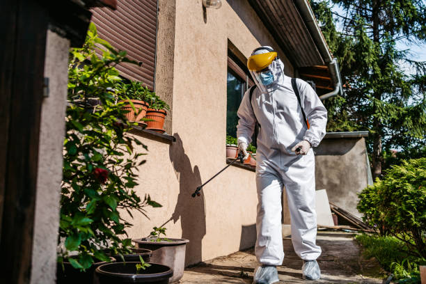 Best Bed Bug Extermination  in Saegertown, PA
