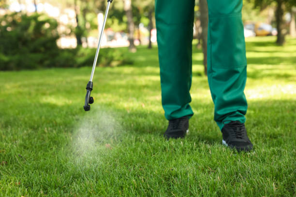 Best Pest Control Treatment  in Saegertown, PA