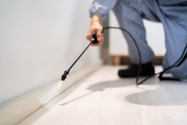 Best Pest Removal Services  in Saegertown, PA