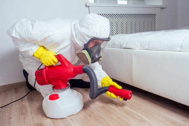 Best Local Pest Control Services  in Saegertown, PA