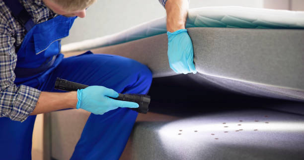 Best Best Pest Control Companies  in Saegertown, PA